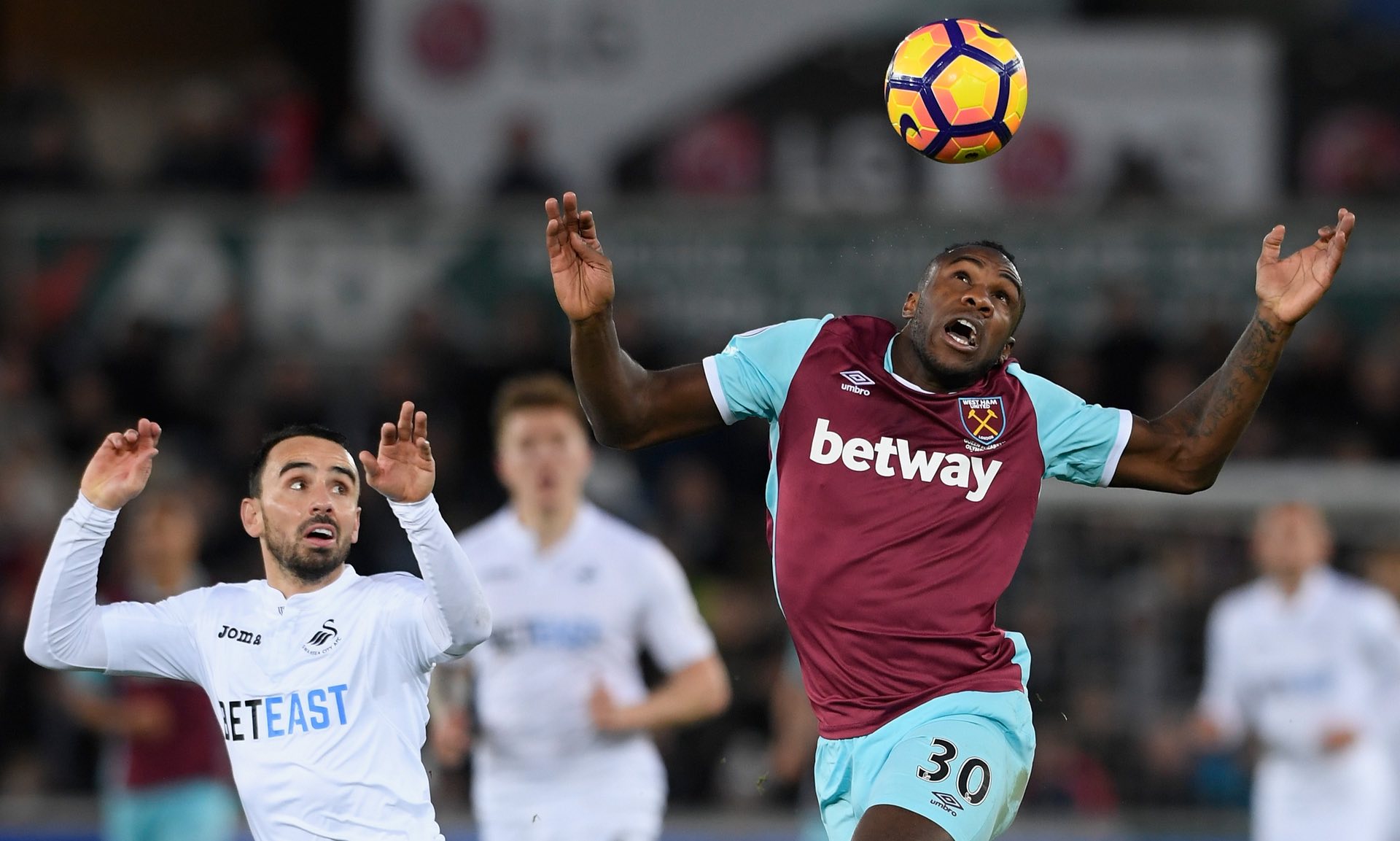 各类气候挑 各类气候挑