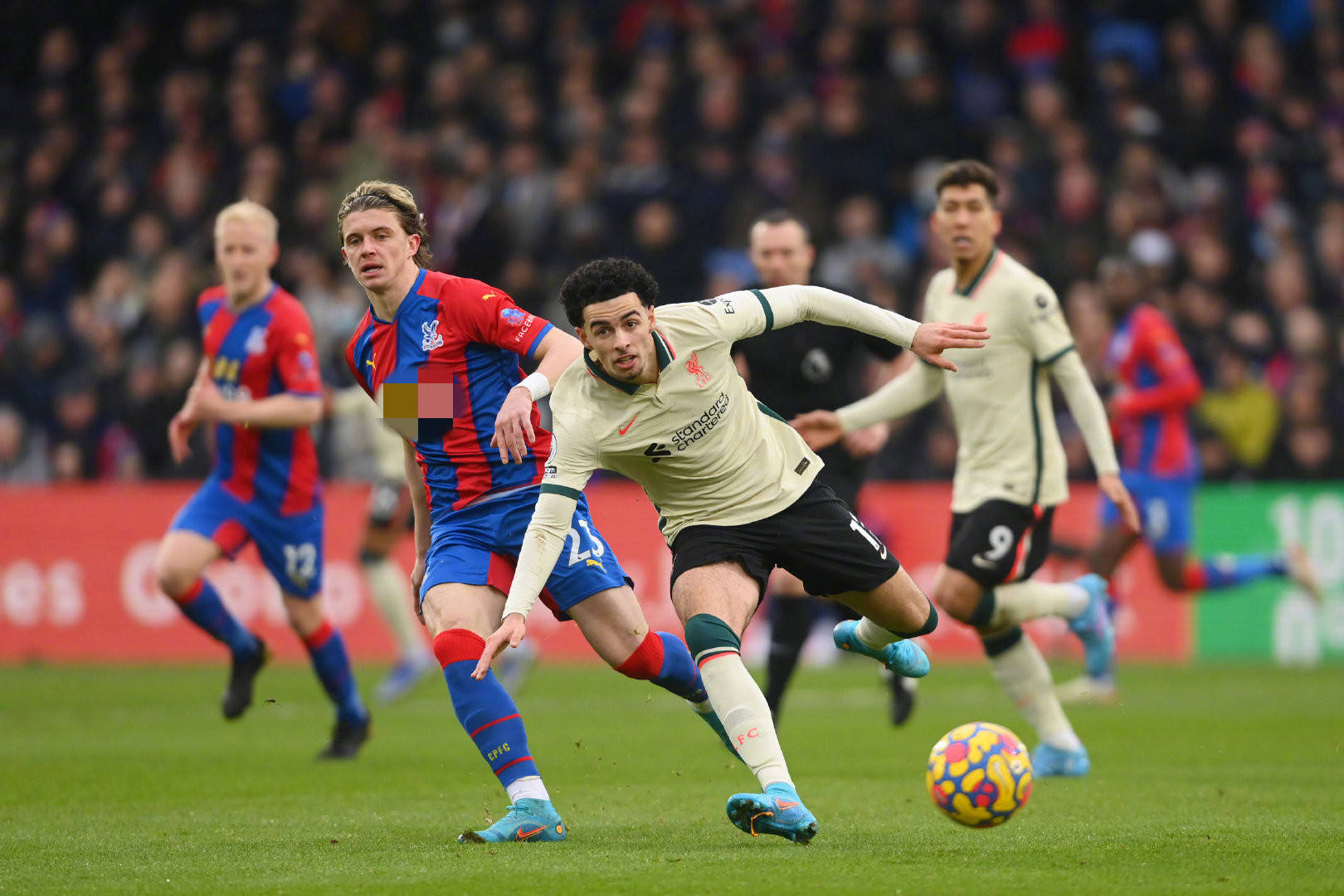 中国选手俞 中国选手俞